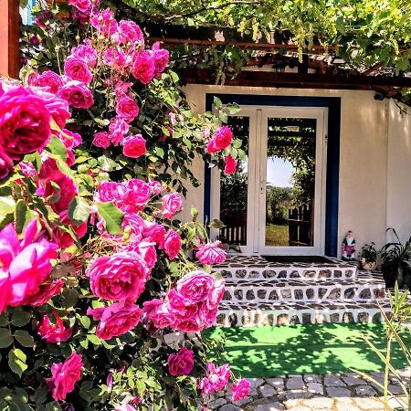 Teo Guest Rooms Băile Felix المظهر الخارجي الصورة