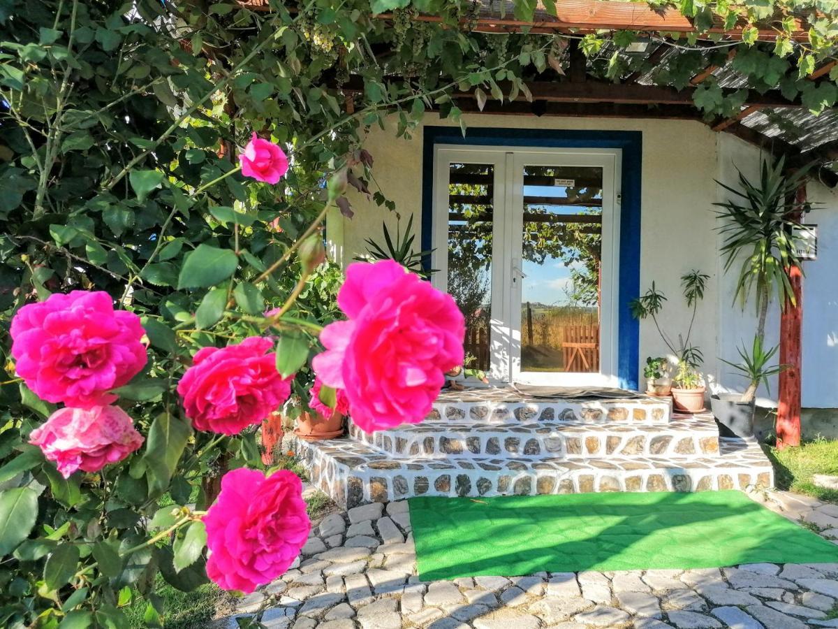 Teo Guest Rooms Băile Felix المظهر الخارجي الصورة
