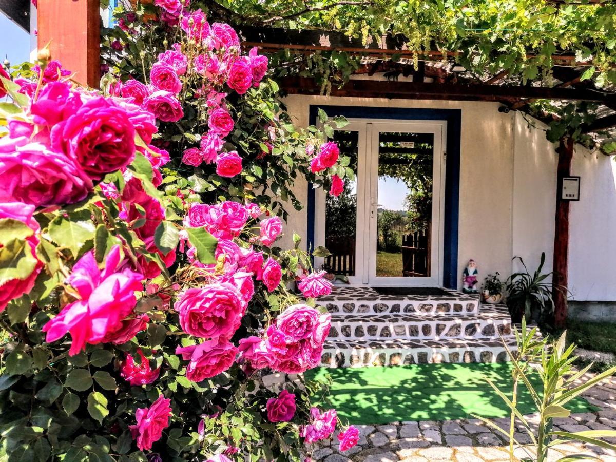 Teo Guest Rooms Băile Felix المظهر الخارجي الصورة