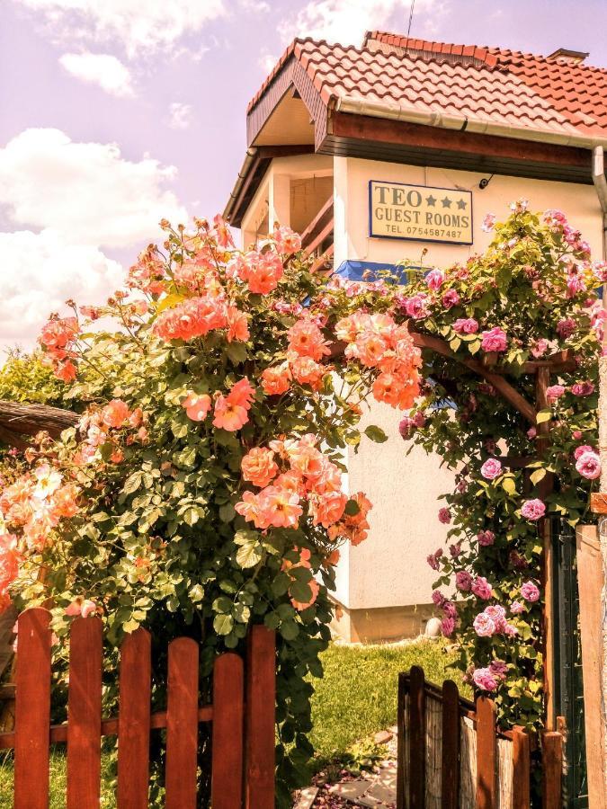 Teo Guest Rooms Băile Felix المظهر الخارجي الصورة