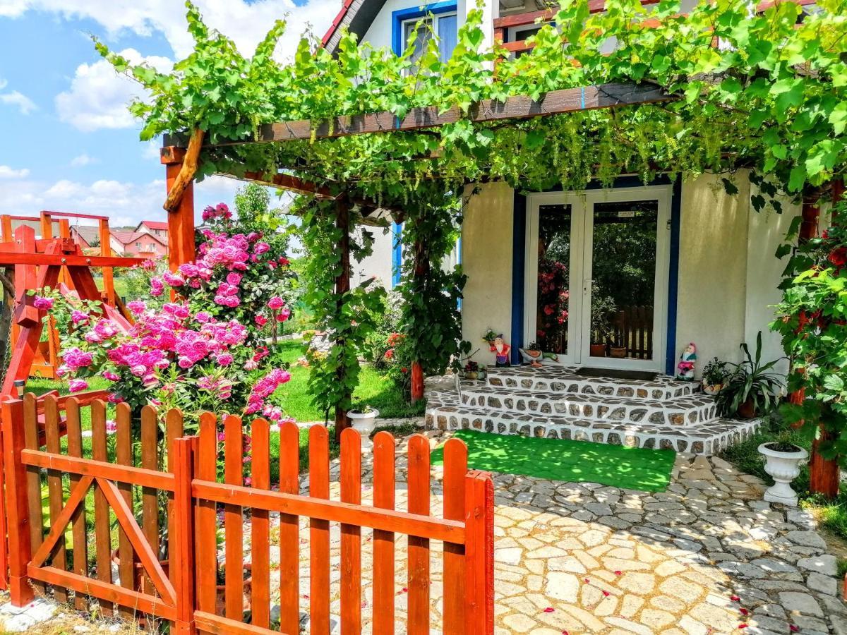 Teo Guest Rooms Băile Felix المظهر الخارجي الصورة